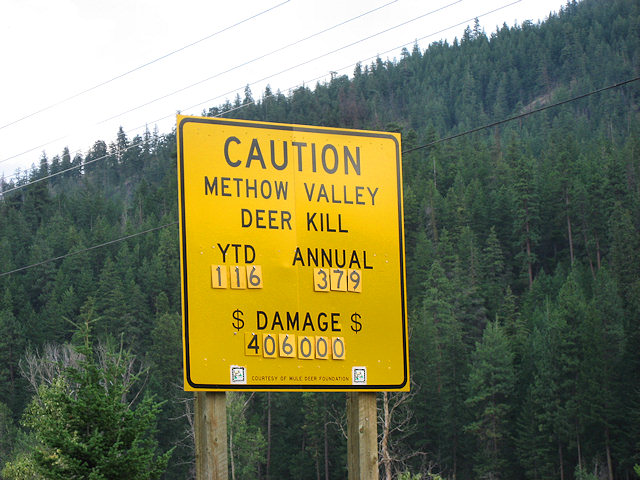 Watch out for Deer in the Methow Valley, Hwy.20