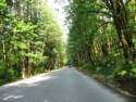 Scenic Hwy. 530 in Washington