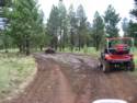 On The Trails