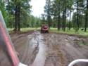 On The Trails