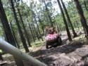 On The Trails