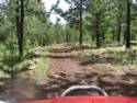 On The Trails
