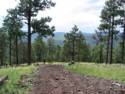 More Trails around Greer