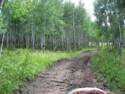More Trails around Greer