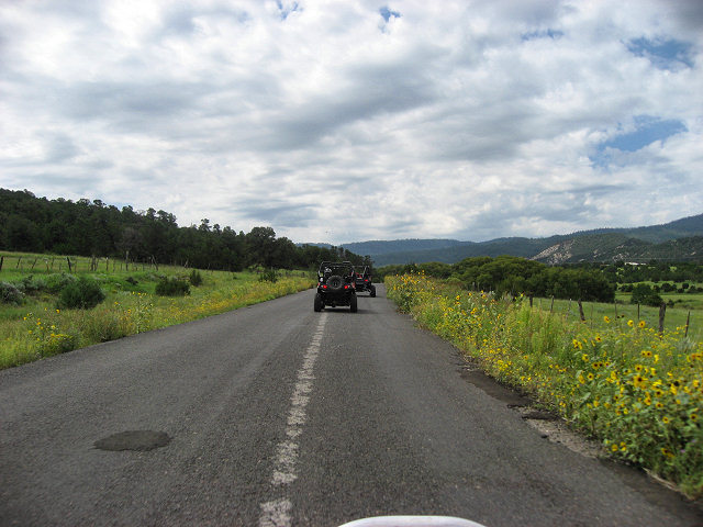 Heading to the forest. 