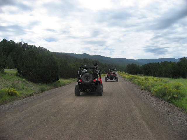 Heading to the forest. 