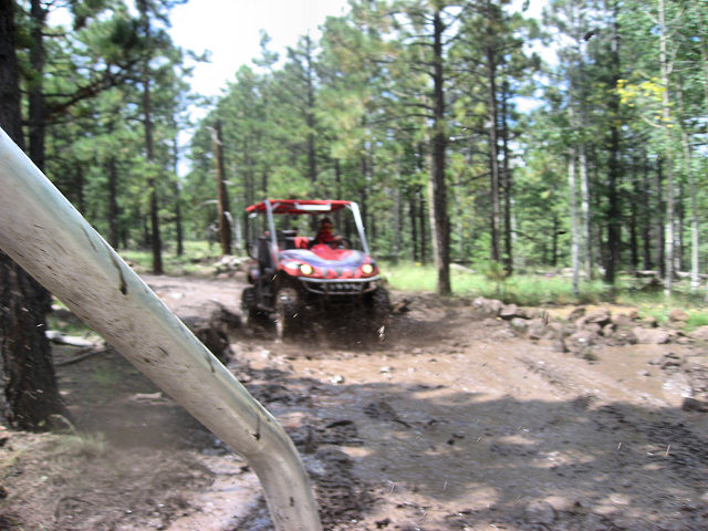 On The Trails