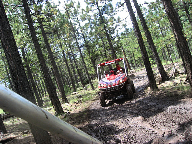 On The Trails