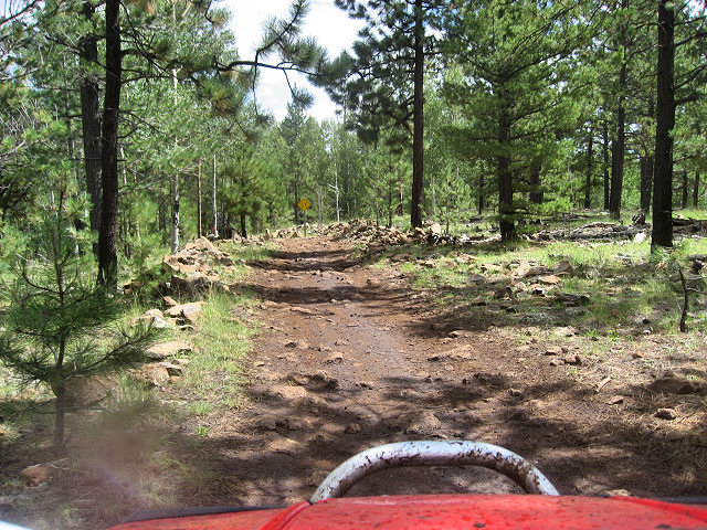 On The Trails