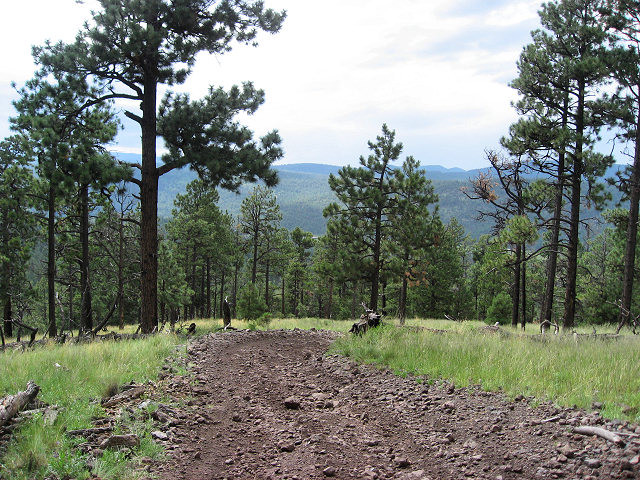 More Trails around Greer