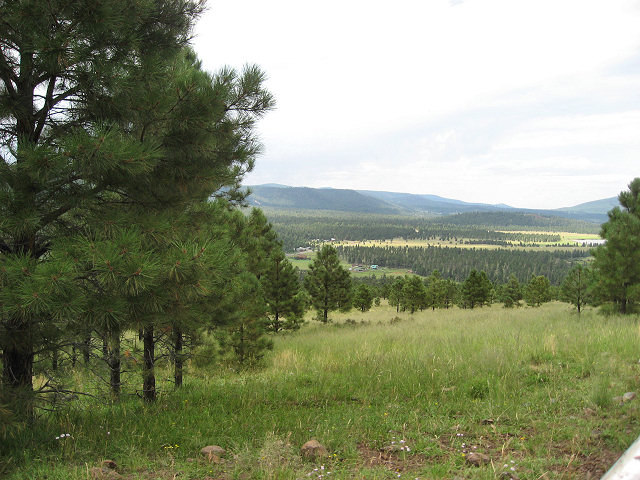More Trails around Greer
