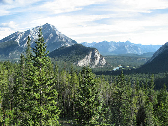 View Of Banff From Rimrock Resort Hotel Room