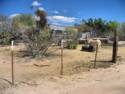Greasewood Flat