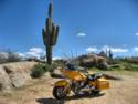 Greasewood Flat
