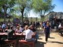 Greasewood Flat