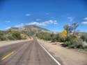 Road to Bartlett Lake