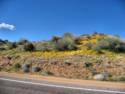 Road to Bartlett Lake