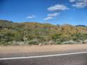 Road to Bartlett Lake