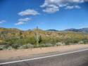 Road to Bartlett Lake