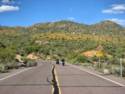 Road to SB Cove