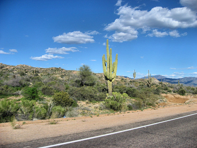 Road to Bartlett Lake
