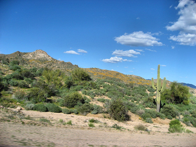 Road to Bartlett Lake
