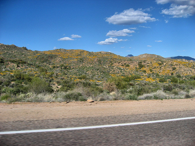 Road to Bartlett Lake