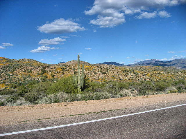 Road to Bartlett Lake