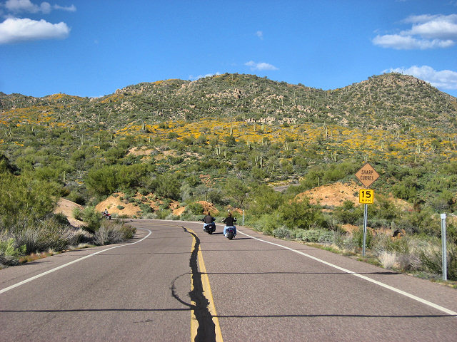 Road to SB Cove