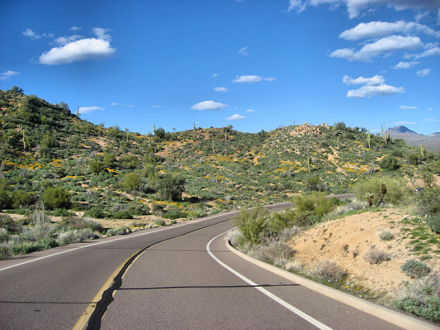Road to SB Cove