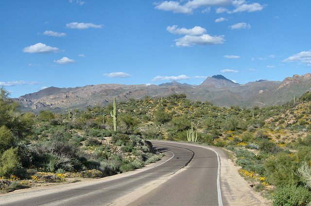 Road to SB Cove
