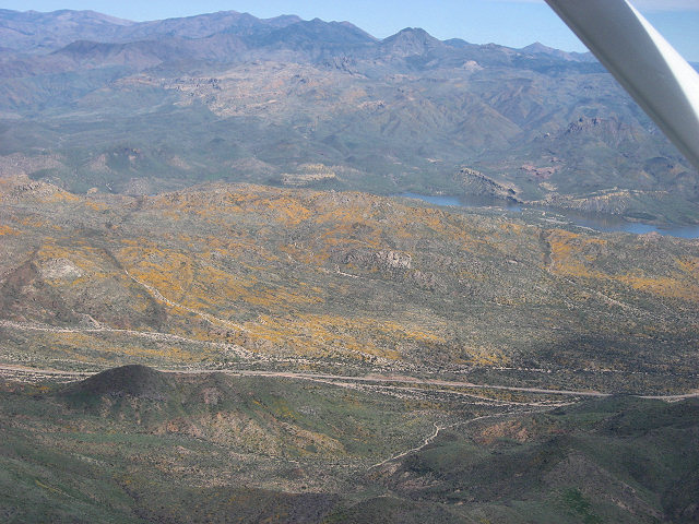 Road to Bartlett Lake