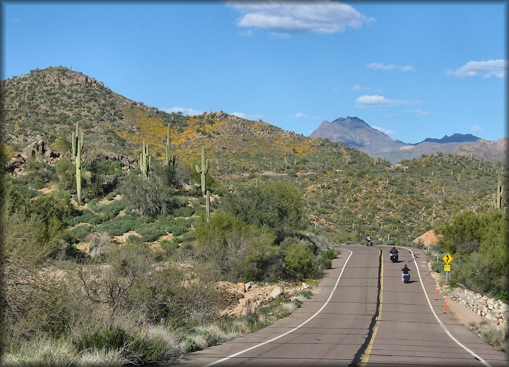 Road to SB Cove