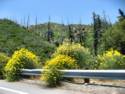 Hwy. 330 to Big Bear Lake, CA