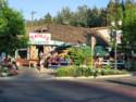 Paolit's Country Kitchen - Good Pizza