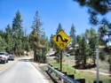 Fawnskin on Big Bear Lake, CA