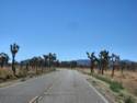 Joshua Tree National Park