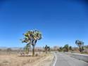 Joshua Tree National Park