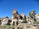 Joshua Tree National Park