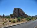 Joshua Tree National Park