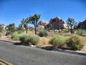 Joshua Tree National Park