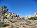 Joshua Tree National Park