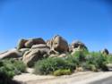Joshua Tree National Park