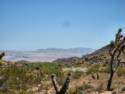 Joshua Tree National Park