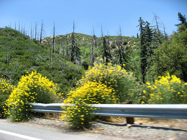 Hwy. 330 to Big Bear Lake, CA