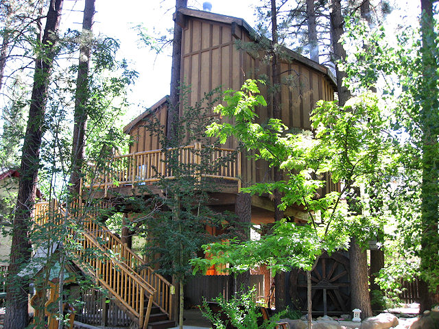 The Tree House Cottage