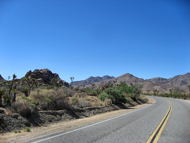 Joshua Tree National Park