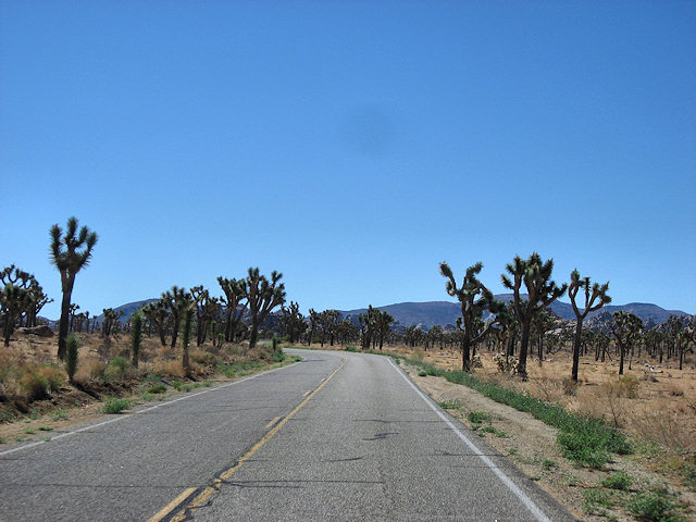 Joshua Tree National Park