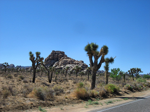Joshua Tree National Park