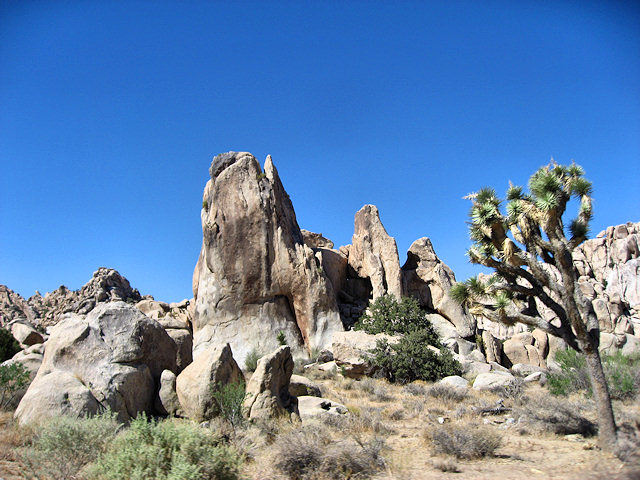 Joshua Tree National Park
